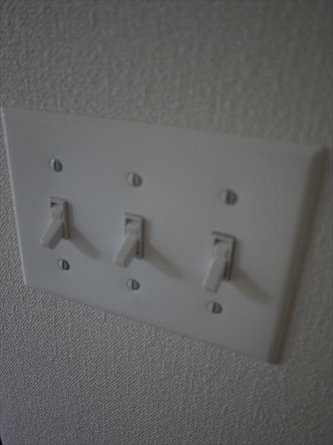 Other introspection. Indoor (April 2013) Shooting