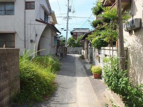 Local photos, including front road