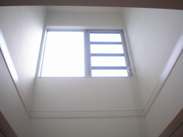 Other introspection. Atrium light plug