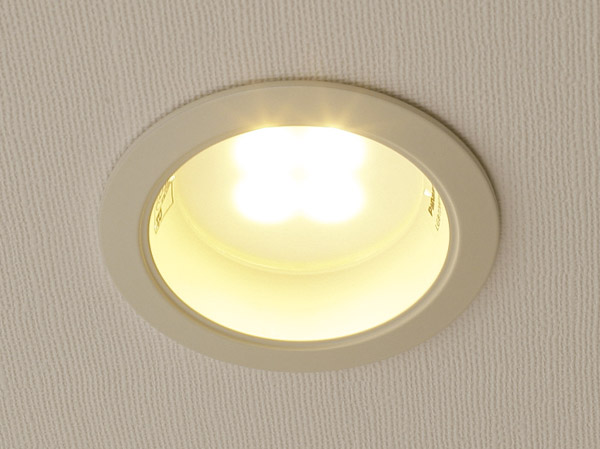 Other.  [LED lighting] In Deer Maison Kawaramachi [River Grace], Introducing LED lighting draw attention as the lighting-friendly "energy saving" and of "long life" for the next generation to be household Earth. Has also adopted the common areas as well as proprietary part. (Same specifications) ※ Emergency lighting ・ Except for the guide lights.