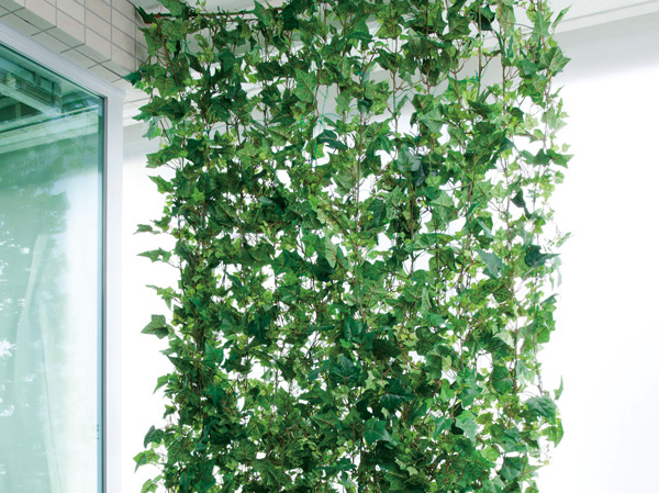 balcony ・ terrace ・ Private garden.  [Green curtain hook] Soften the sunshine of summer, To reduce the temperature rise in the room "green curtain". On the ceiling of the balcony, A mounting hook has been established. (Same specifications)