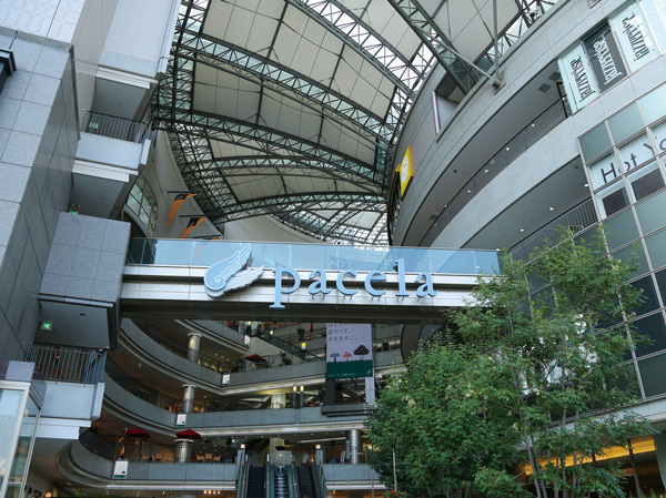 Surrounding environment. Pacela (about 2010m / 26 minutes walk)