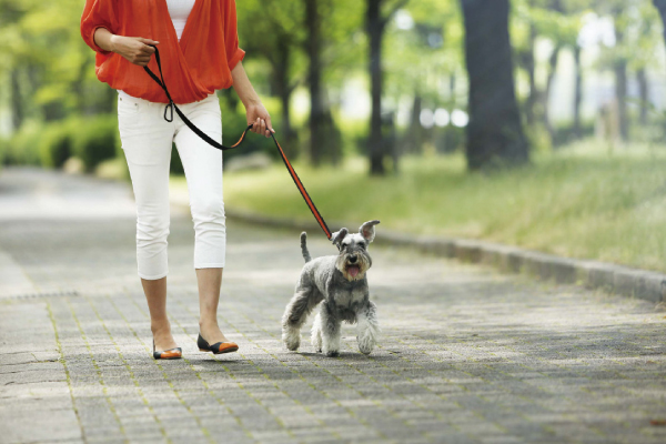 Central Park (about 840m / Walk 11 minutes) and along the Kyobashi River promenade (about 660m / While enjoying a walk or running on foot 9 minutes), A healthy life