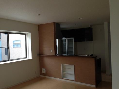 Living. Indoor (12 May 2013) Shooting