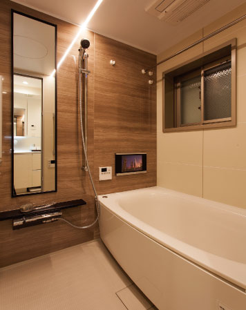 Bathing-wash room. Bathroom