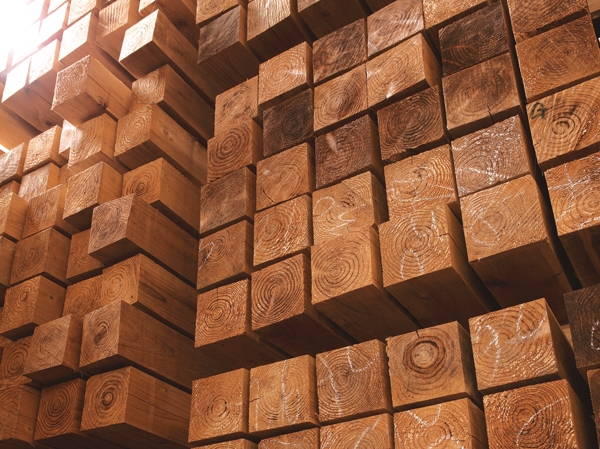 Room and equipment. And the smell of wood is pleasant cedar, Adsorb the chemical substance, Use of decomposing plaster. Rainy season also Karari comfortable excellent humidity action. (Same specifications)