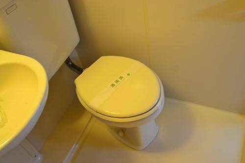 Toilet. Toilet