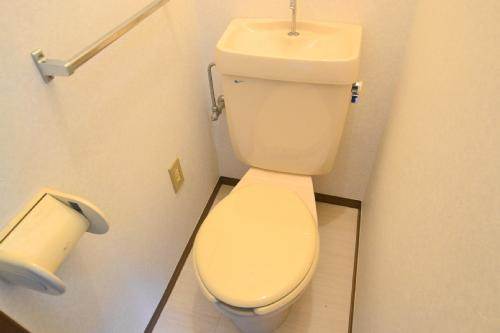 Toilet. Toilet