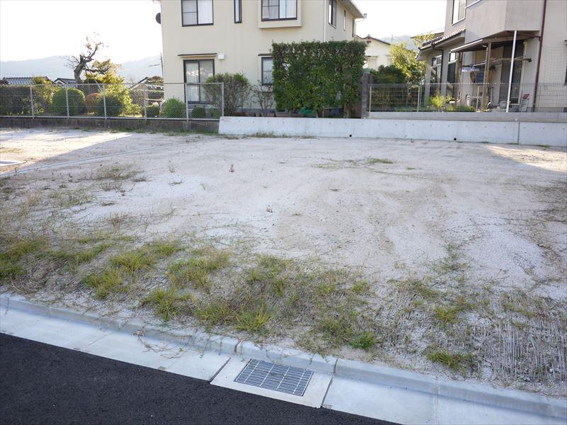 Local photos, including front road