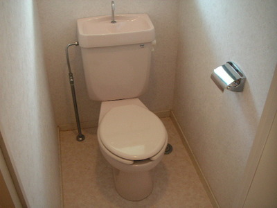 Toilet. Toilet