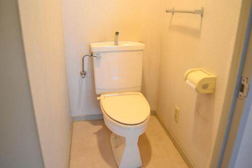 Toilet. Western-style toilet