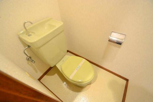 Toilet. Western-style toilet