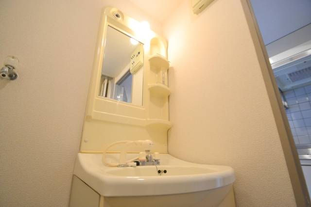 Washroom. Shampoo dresser