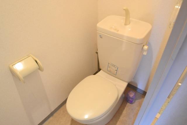 Toilet. Western-style toilet