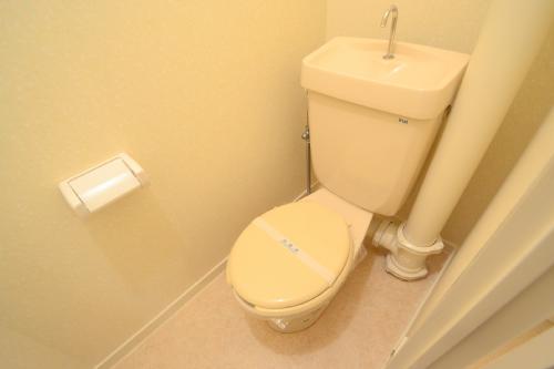Toilet. Western-style toilet
