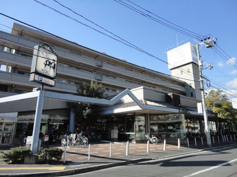 Supermarket. Abanse (Yours) Until the shaking shop 606m