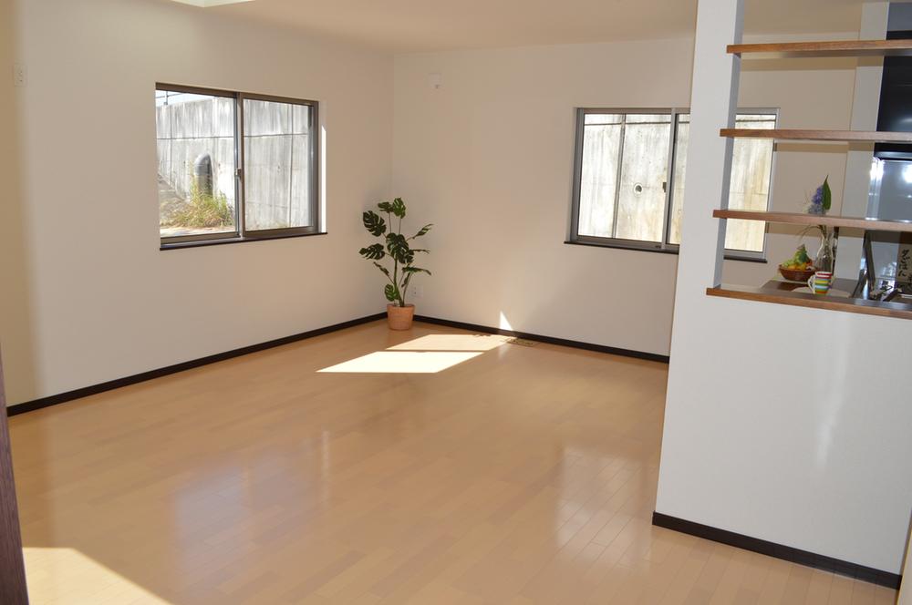 Living. Indoor (10 May 2013) Shooting