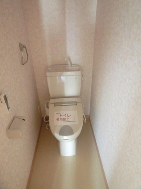 Toilet. Room (August 2013) Shooting