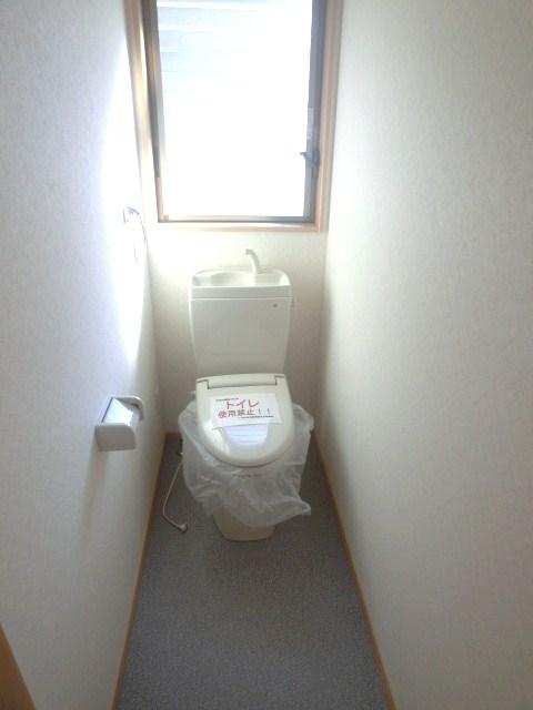 Toilet. Room (August 2013) Shooting