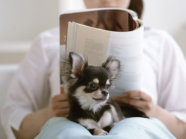 Pet.  [Pets live possible] Pets also important family. You can live in the pet in the "Lions Shin Inokuchi Bright season.".  ※ The size of the pet ・ type ・ Suto to there are restrictions. For more information, please contact the person in charge. (An example of photo frog pet)