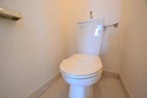 Toilet. Western-style toilet