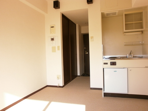 Other room space. Western style room
