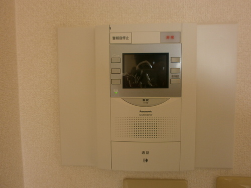 View. Monitor with intercom