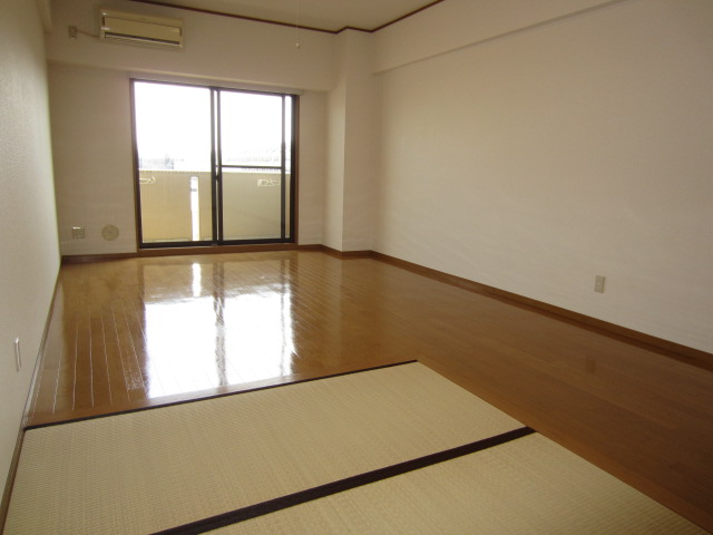 Living and room. Living