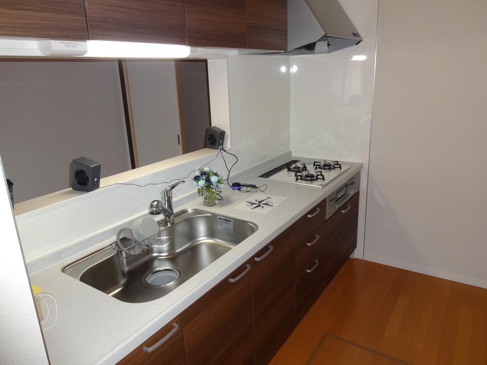 Kitchen. Indoor (12 May 2013) Shooting Quiet sink, City gas