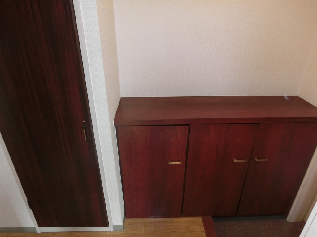 Entrance. Shoes BOX
