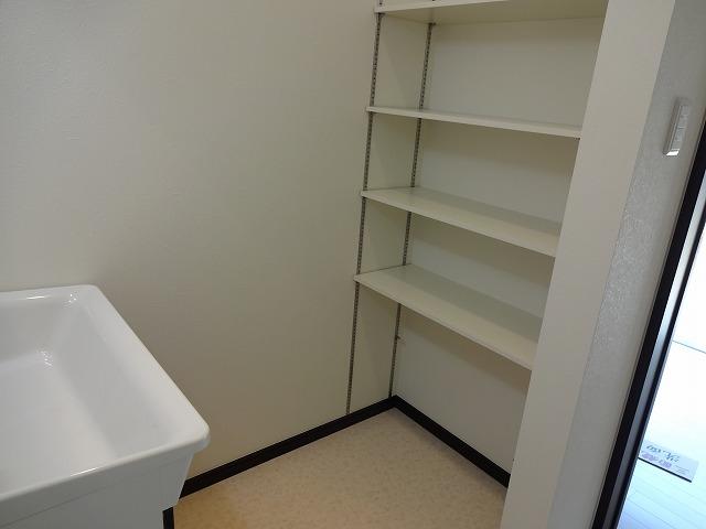 Wash basin, toilet. It is convenient there is a shelf in washroom