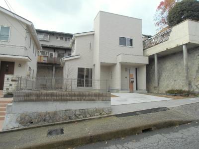 Local photos, including front road