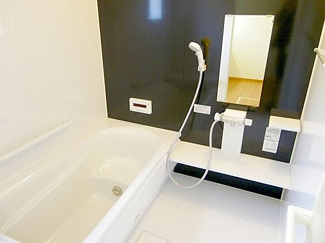 Bathroom. Indoor (11 May 2013) Shooting