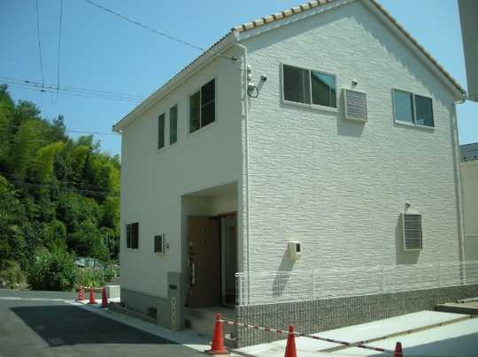 Local appearance photo. Appearance 1