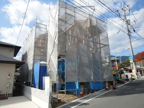 Local appearance photo. November 21, shooting