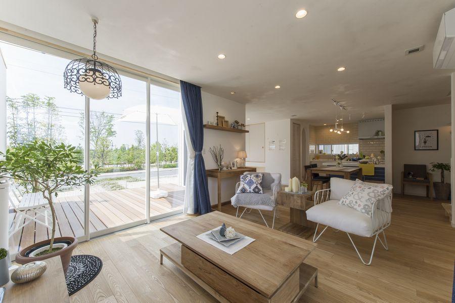 Living. Indoor (10 May 2013) Shooting