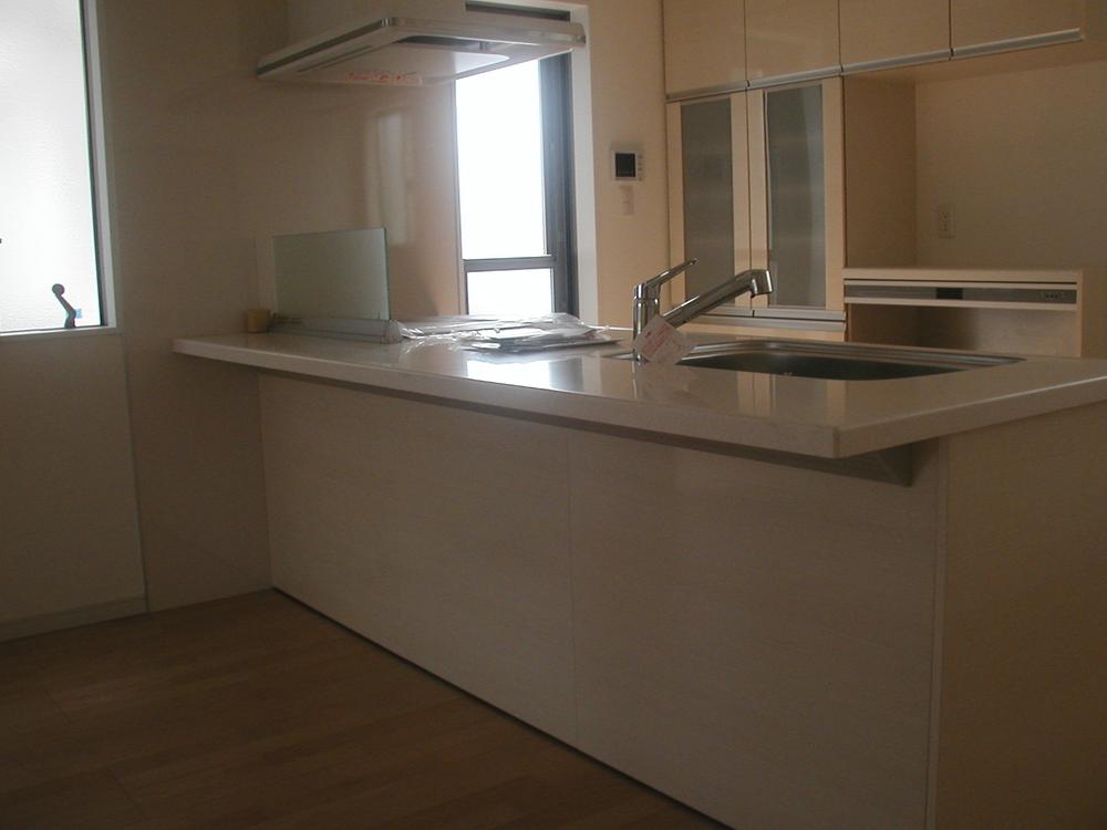 Kitchen. Island Kitchen