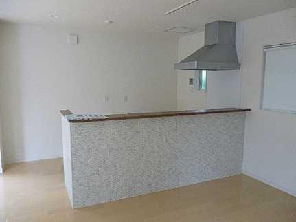 Kitchen. Indoor (10 May 2013) Shooting