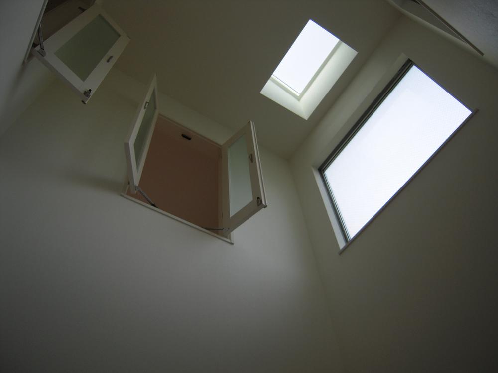 Other introspection. Blow-by