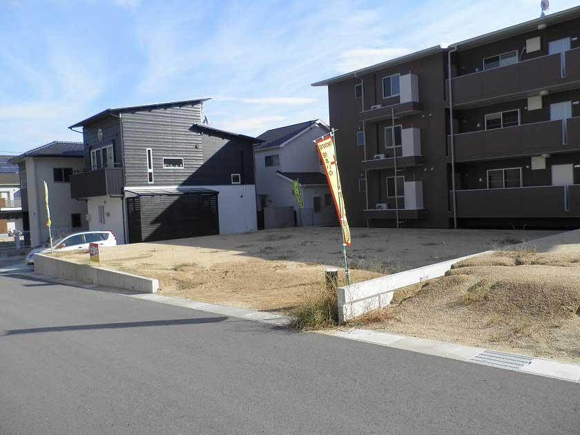 Local photos, including front road