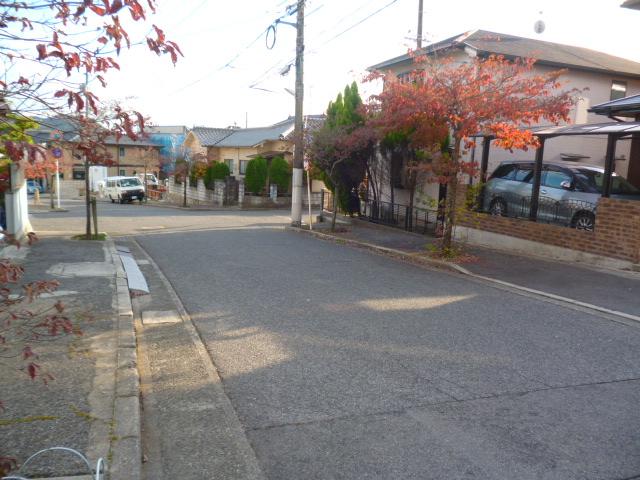 Other. State of the east side road and sidewalk