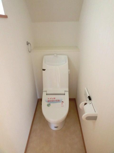 Toilet. Room (August 2013) Shooting