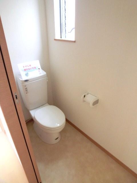 Toilet. Room (August 2013) Shooting