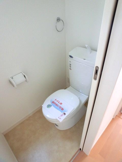 Toilet. Room (August 2013) Shooting