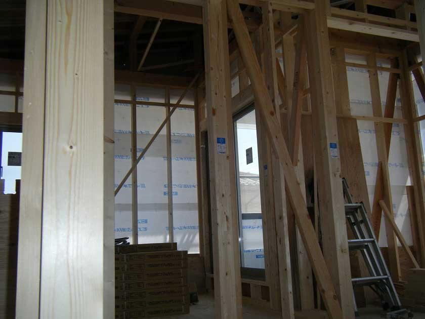 Other introspection. Under construction