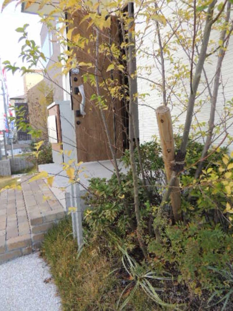 Local appearance photo. Is the entrance around the planting. Is outside structure felt seasonal. 