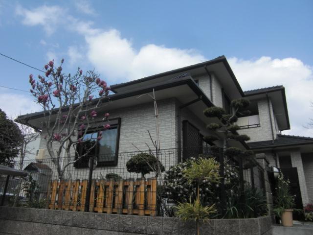 Local appearance photo. Local (April 2013) is the appearance of the shooting south