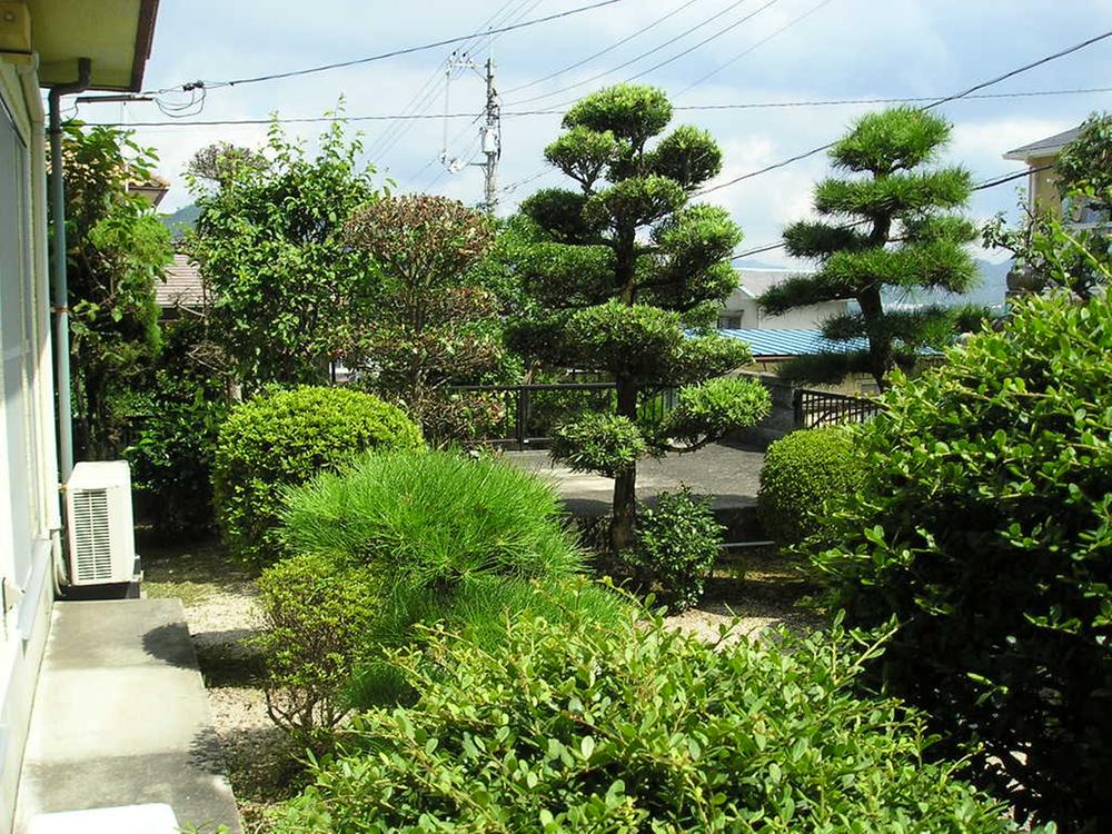 Garden. Line arrived garden of TeIri
