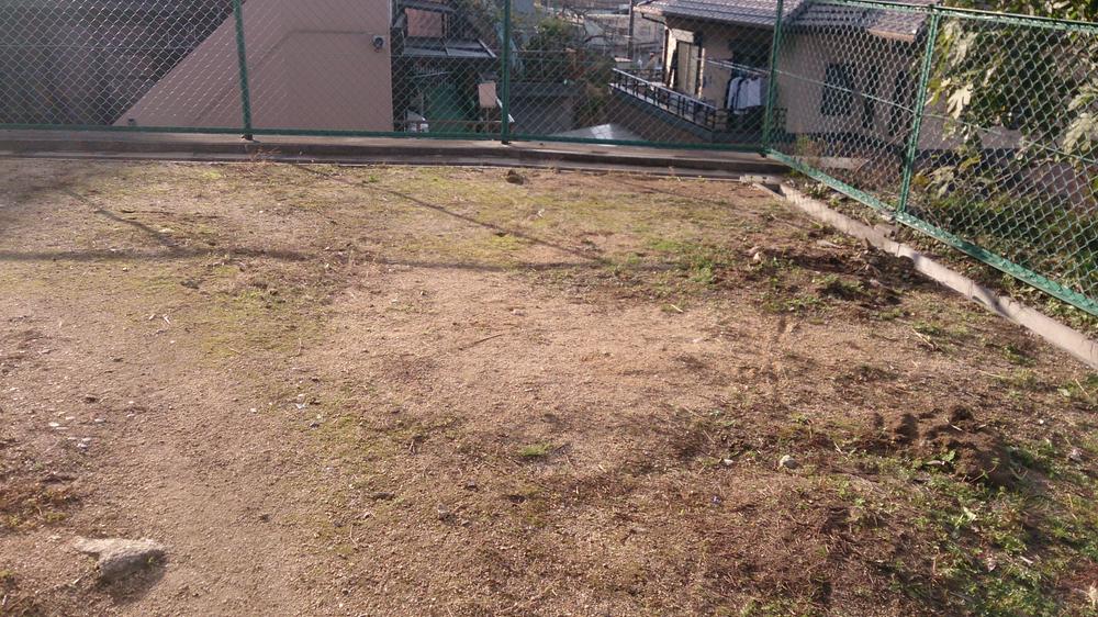 Garden. Local (11 May 2013) Shooting