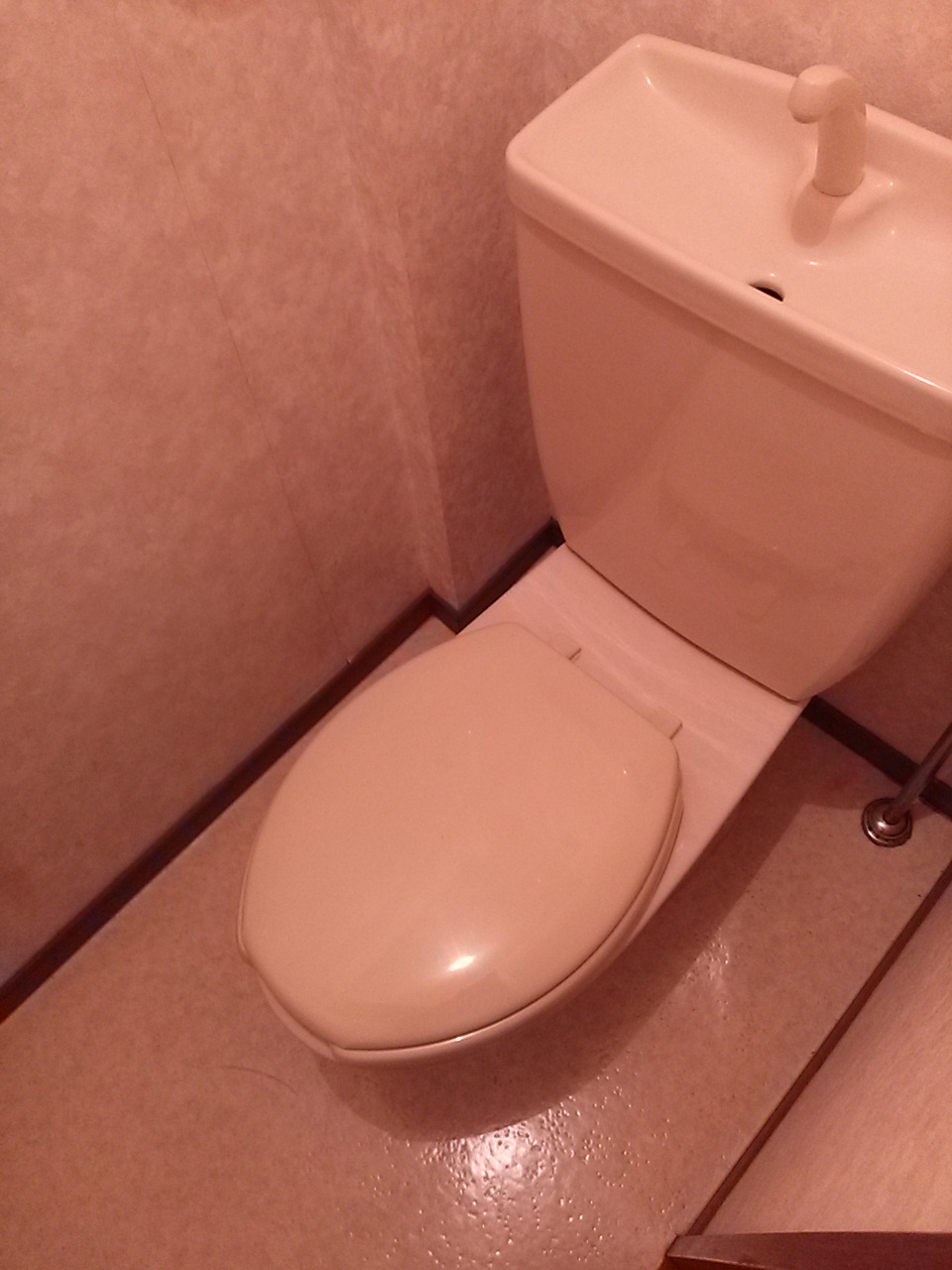 Toilet